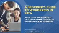 A Beginner’s Guide to WordPress in 2024