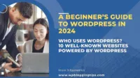 A Beginner’s Guide to WordPress in 2024