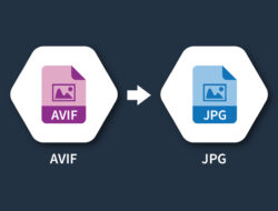 AVIF to JPG Converter | Free Online Image Converter Tool