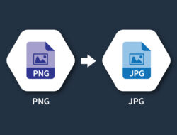 PNG to JPG Converter – Fast Online PNG to JPG Free Tool