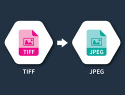 TIFF to JPEG Converter – Fast and Easy Image Conversion