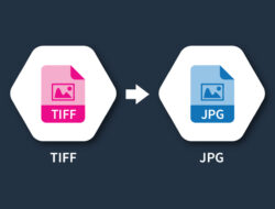 TIFF to JPG Converter – Quick and Easy Image Conversion