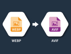 WebP to AVIF Converter – Convert Images Online Free of Cost