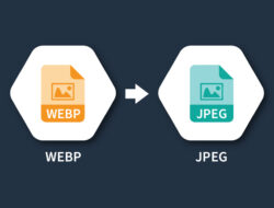 WebP to JPEG Converter – Fast & Reliable Online Free Tool