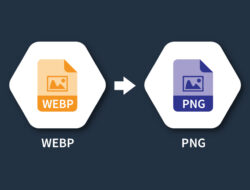 Fast Online WebP to PNG Converter | Convert Images Free