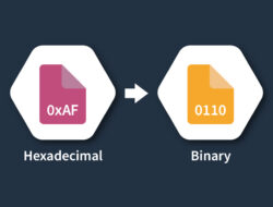 Hexadecimal to Binary Converter | Online & Free Tool
