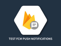 TEST FCM PUSH NOTIFICATIONS