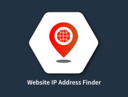 Website IP Address Finder | Website IP Lookup Tool